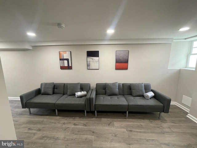 living room with wood-type flooring