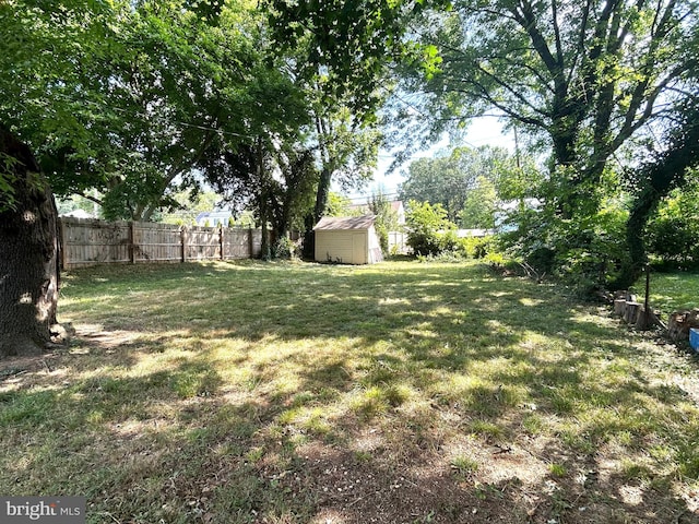 view of yard featuring a shed