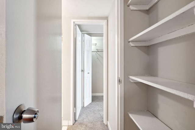 spacious closet with light colored carpet