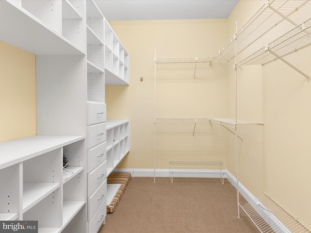 spacious closet with carpet flooring