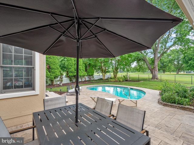 view of pool featuring a patio