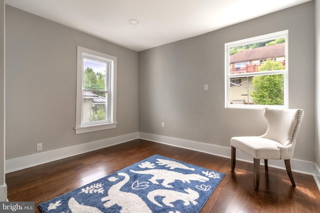 living area with dark hardwood / wood-style floors and a wealth of natural light