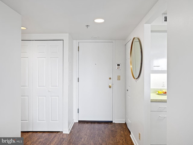 foyer entrance featuring dark wood-type flooring