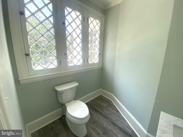 bathroom with hardwood / wood-style flooring, vanity, and toilet