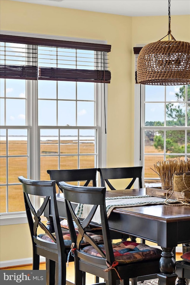 view of dining space