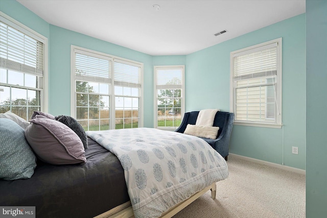 bedroom with carpet flooring