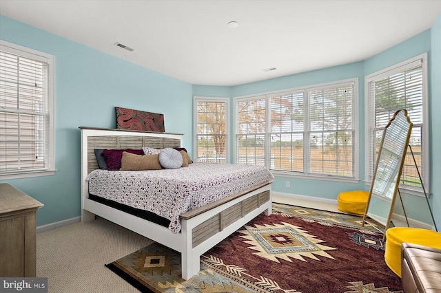 bedroom featuring carpet floors and multiple windows