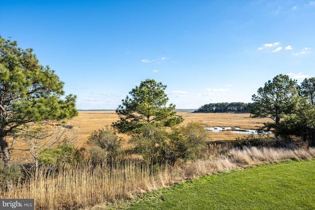 view of local wilderness featuring a rural view