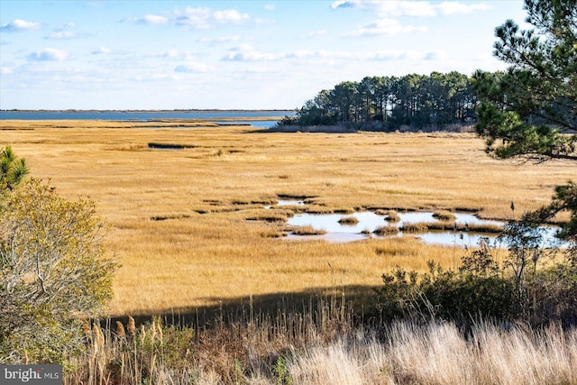 view of local wilderness with a water view