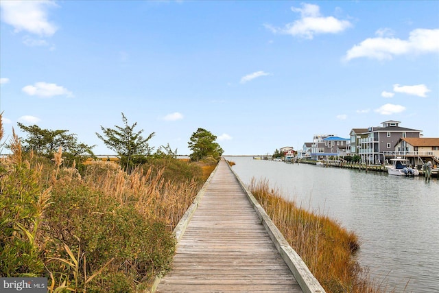 dock area with a water view