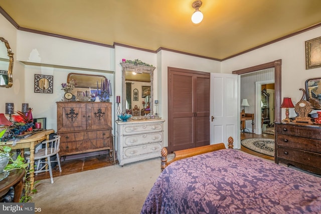 bedroom featuring carpet and a closet