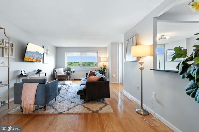 living room with light hardwood / wood-style flooring