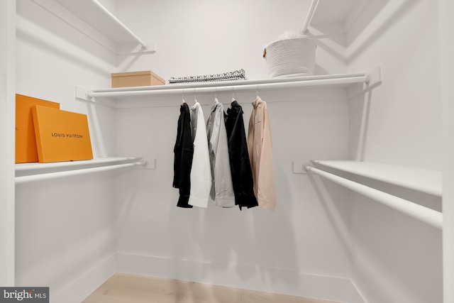 walk in closet with hardwood / wood-style flooring