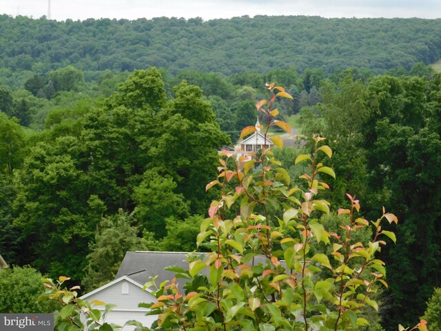 00 Ginger Ln, Mifflintown, PA 17059