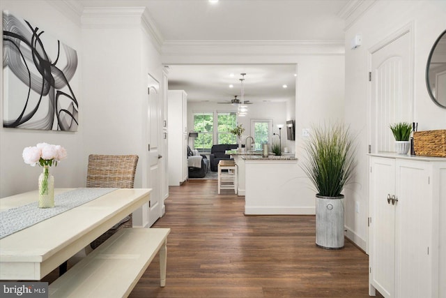 hall featuring dark hardwood / wood-style flooring, crown molding, and sink