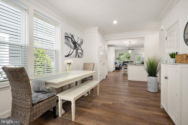 dining room with ceiling fan, ornamental molding, dark wood finished floors, and recessed lighting