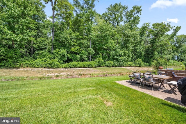 view of yard featuring a patio area