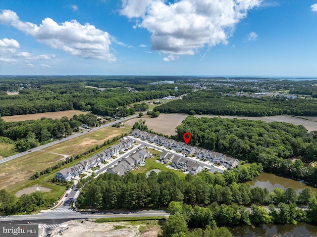 drone / aerial view with a water view and a view of trees