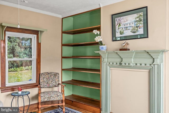 sitting room featuring a healthy amount of sunlight, a textured ceiling, and ornamental molding