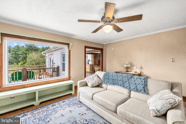 living room featuring wood-type flooring, ceiling fan, and ornamental molding