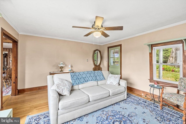 living room with ceiling fan, wood-type flooring, and ornamental molding