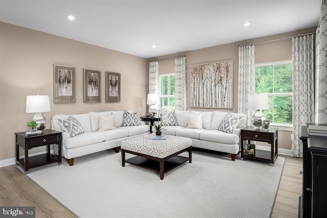 living room featuring plenty of natural light and light wood-type flooring