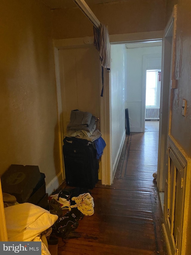 hall featuring radiator and dark hardwood / wood-style floors