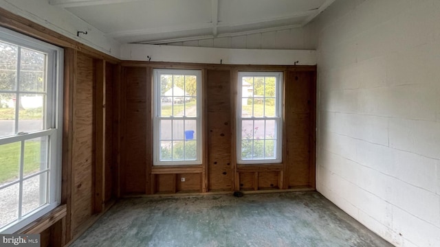 spare room featuring vaulted ceiling