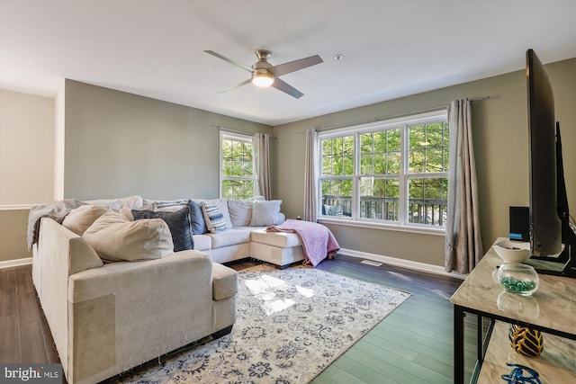 living room with ceiling fan and dark wood-type flooring