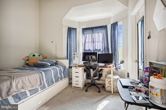 bedroom with light colored carpet