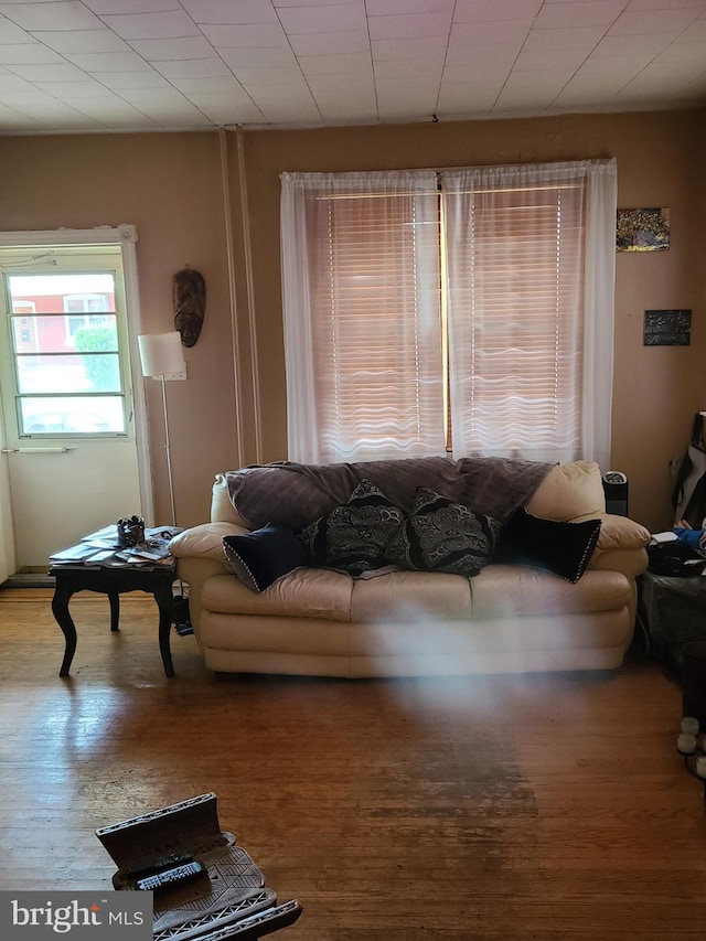 living room featuring hardwood / wood-style floors