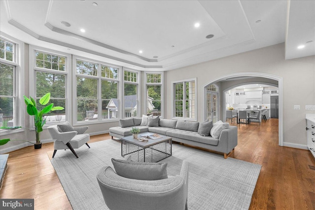 living room featuring a raised ceiling and wood-type flooring