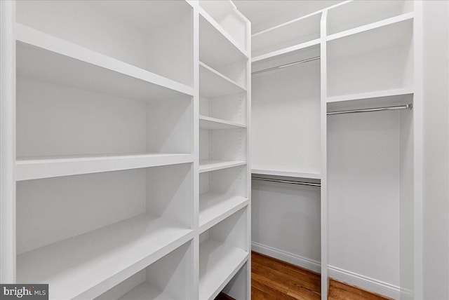 spacious closet with wood-type flooring