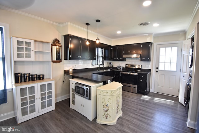 kitchen with pendant lighting, stainless steel appliances, dark hardwood / wood-style floors, and sink