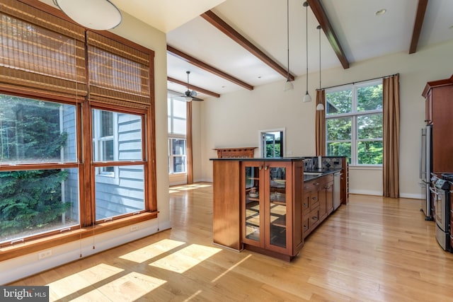 kitchen with a wealth of natural light, appliances with stainless steel finishes, hanging light fixtures, and light hardwood / wood-style floors