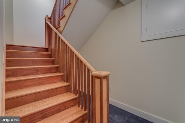 stairway featuring carpet floors