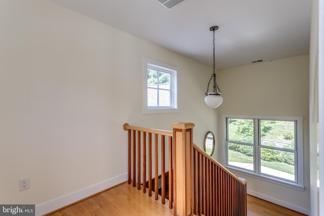 stairway featuring wood-type flooring and a healthy amount of sunlight