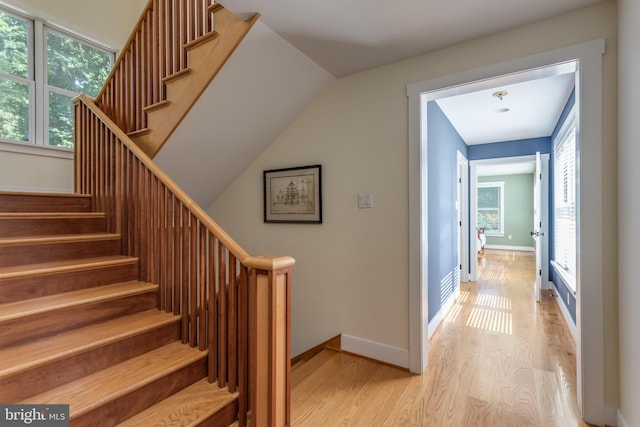 stairway featuring hardwood / wood-style floors and a healthy amount of sunlight