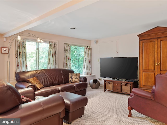 view of carpeted living room