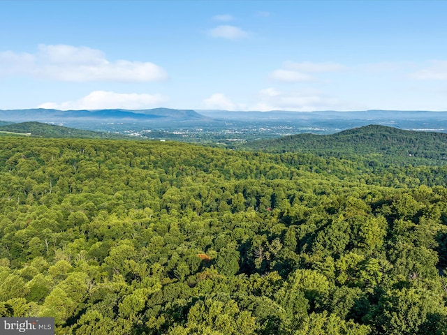 property view of mountains