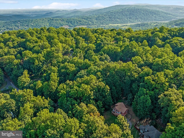 bird's eye view featuring a mountain view