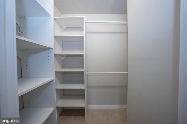 view of walk in closet