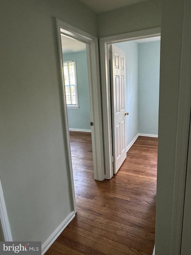 corridor featuring dark wood-type flooring