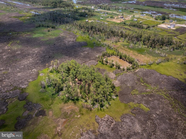 bird's eye view featuring a rural view