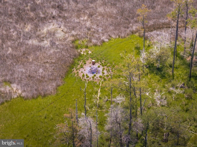 aerial view