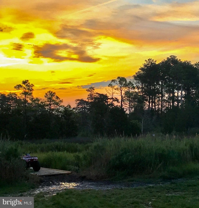 view of yard at dusk