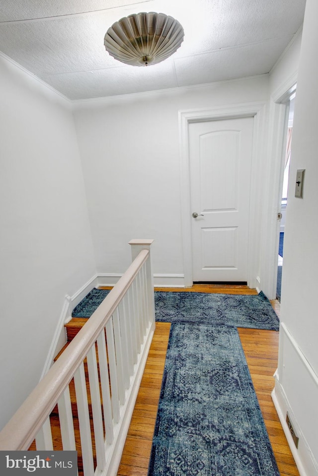 hallway with wood-type flooring