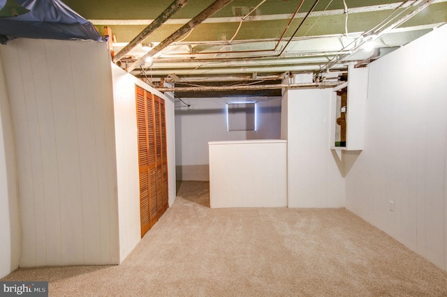 basement featuring carpet floors