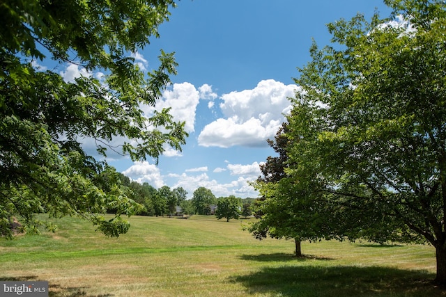 view of nature