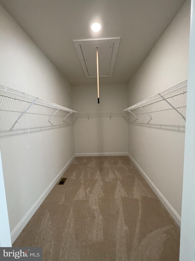 spacious closet featuring carpet flooring